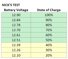 This type of charger uses a microprocessor to monitor the battery voltage characteristics to determine when it is fully. Battery Voltage Chart Frian