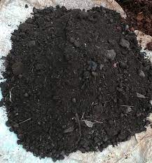 Bahan alami dan organic mampu menyerap air dan nutrisi 10x lebih banyak dari tanah biasa meningkatkan pernafasan. Cara Membuat Sekam Bakar Untuk Media Tanam Berbagi Tanam