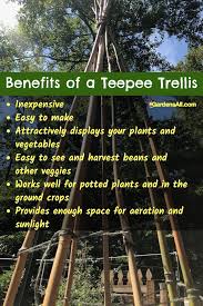 I tied the 2x2s together about 4 feet off the ground as i heard this will make the beans easier to pick. Bamboo Bean Teepee Trellis Video How To Gardensall Vegetables
