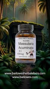 Image result for Massularia acuminata