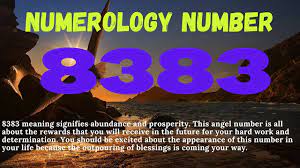 Numerology Number 8383 Numerology Numerology Birth Date Meant To Be