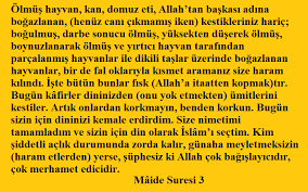 Bugun Size Dininizi Ikmal Ettim Uzerinize Nimetimi Tamamladim Ve Sizin Icin Din Olarak Islam I Begendim Maide Suresi 3 Ayet Meali Islam