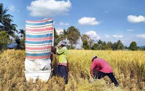 Maybe you would like to learn more about one of these? Teknologi Salibu Kearifan Lokal Petani Padi Tanah Datar Di Sumbar