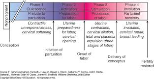 Physiology Of Labor Williams Obstetrics 25e