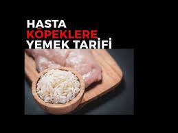 Kedi Ve Kopeklerde Asi Sonrasi Halsizlik Ates Istahsizlik Yemek Yememe Sislik Titreme Alerji Ishal Youtube