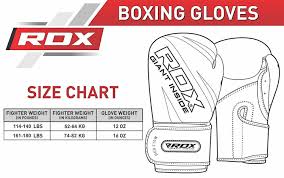 Rdx X1 Punch Bag Boxing Gloves