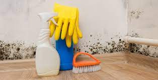 Und wenn ja kann ich es entfernen? Schimmel Entfernen Tipps Zum Entfernen Von Schimmelpilz 21 Grad