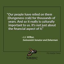 The Swinomish Tribe, starting with the late Lorraine Loomis, has helped  launch research into Dungeness crab populations and how the valuable  fishery may be affected by climate change. “With resources dwindling,  potentially