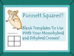 We write high quality term papers, sample essays, research papers, dissertations, thesis papers, assignments, book reviews, speeches, book reports, custom web content and business papers. Punnett Squares Blank Templates By Vicki The Science Lady Tpt