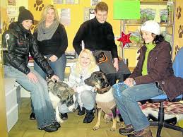 Zwei Vierbeiner suchen dringend ein Zuhause