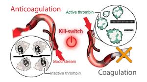Image result for Anticoagulation