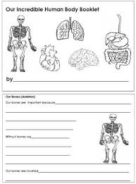 Human Body Printable Booklet Human Body Printables Human Body Worksheets Human Body