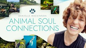 Animal Soul Connections 2023
