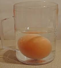 science experiment: the rubber egg