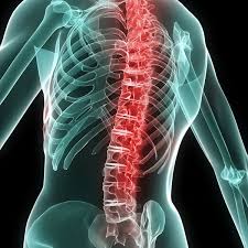 Image result for Autonomic Dysfunction