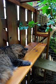 See more ideas about outdoor ashtray, ashtray, diy outdoor. Easy Diy Cat Enclosure To Keep Your Indoor Cats Happy And Safe