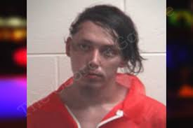 Joseph Wolfenbarger — Henry County Jail Bookings