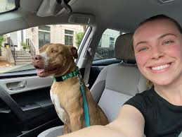 Today is her last chance to find her forever or she will be euthanized by  the end of the day. 📣 I am begging, please give this girl a chance. She is