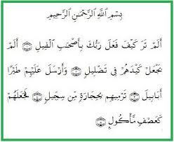 Surah al fiil muhammad thoha al. Surat Suci Al Qur An Surat Al Fiil Gajah Surat Quran Gajah