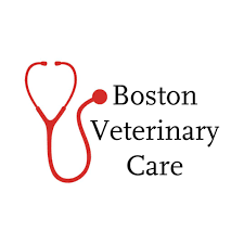 Boston Veterinary Care