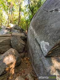 Yonah Mountain Trail Hiking In Georgia Hiking Trip Hiking Tips