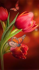 Get galaxy s21 ultra 5g with unlimited plan! Flowers Live Wallpaper Free Android Live Wallpaper Download Appraw
