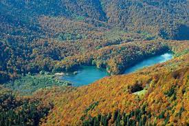 Holding a central position in east montenegro, this giant biogradska gora is located in the mountainous region of bjelasica in the central part of montenegro. National Park Biogradska Gora Welcome To Montenegro