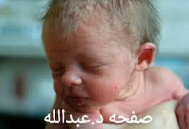 Faiza Ebrahim's Instagram, Twitter & Facebook