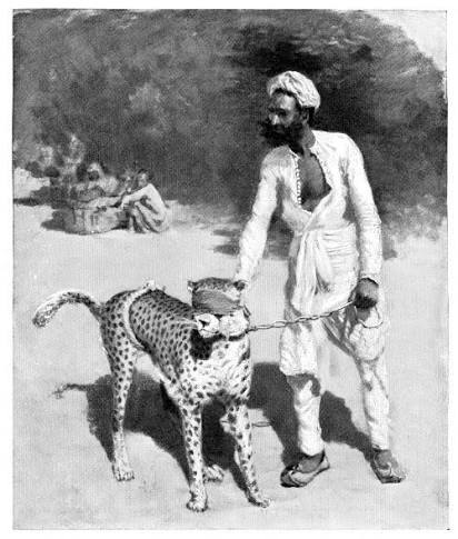 A Catwalk from Africa to India