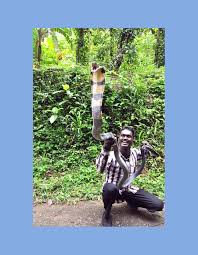 Master Snake Catcher Vava Suresh Who Has Caught Nearly 30 000 Snakes From Different Parts Of Kerala During The Past 25 Years Exhibits His Latest Catch A King Cobra In Thiruvananthapuram On Tuesday Find your stolen and lost device fast and easily.