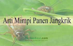 Listen to acul jangkrik | soundcloud is an audio platform that lets you listen to what you love and share the sounds stream tracks and playlists from acul jangkrik on your desktop or mobile device. 19 Arti Mimpi Panen Jangkrik Menurut Primbon Dan Islam