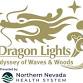 Dragon Lights Reno 2025 event image