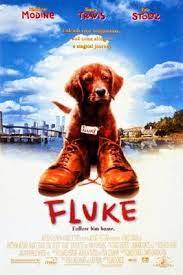 Ver Online Mi Amigo Fluke Espanol Latino Pelicula Completa Hd 720p Vk El Mejor Cine Peliculas En Espanol Latino Peliculas En Espanol Peliculas Completas Hd