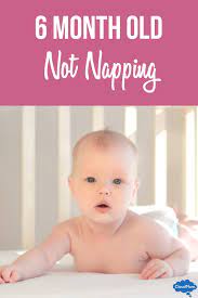 6 Month Old Not Napping Baby Sleep Schedule Cloudmom