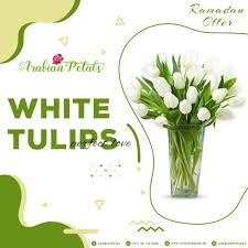 We did not find results for: Arabian Petals On Twitter Send The White Tulips Bouquet Of Flowers From Arabian Petals Order Online Https T Co Ytvgf7itnl ðŸµðŸ³ðŸ­ ðŸ±ðŸ´ ðŸ­ðŸ°ðŸ°ðŸ¯ ðŸ®ðŸ®ðŸ¬ Available Same Day Delivery Across Uae Arabianpetals Tulipflowers Whitetulipsbouquet