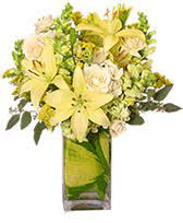Razzle dazzle was a canadian children's television program produced by the canadian broadcasting corporation between october 2, 1961, and july 1, 1966. Have A Sunny Day Flower Basket In Harrodsburg Ky Ellis Florist Gifts