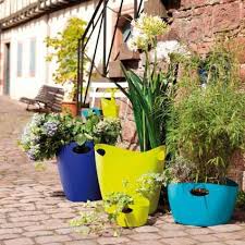 Bottichelli Zuber Pflanzen Sukkulenten Pflanzen Pflanzenkubel Fur Den Garten