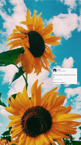 Breathe It S Just A Bad Day Not A Bad Life Khalid Khalid It S A Bad Day Not A Bad Life In 2020 Sunflower Wallpaper Sunflower Iphone Wallpaper Cute Wallpaper Backgrounds