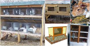 Building the frame of the rabbit hutch. 10 Free Diy Rabbit Hutch Plans That Make Raising Bunnies Easy Diy Crafts