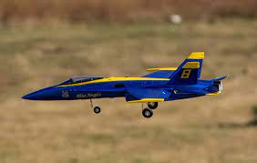 12 channel f18 hornet jet rc plane with jolly roger. F 18 Hornet Edf Rc Jet Rtf 2 4ghz General Hobby