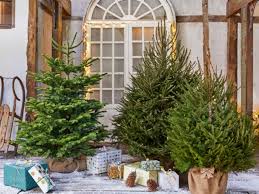Visitez notre service de fleuriste en ligne. Ou Acheter Son Sapin De Noel Et Comment Bien Le Choisir