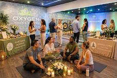 The Cognitive Flow | Nourish & Flourish Vol. 2