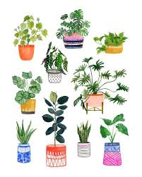 This Item Is Unavailable Etsy Plant Art Plant Drawing Plant Illustration