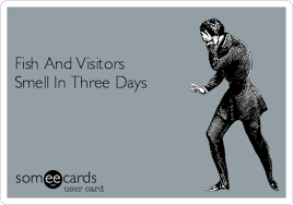 Fish And Visitors Smell In Three Days Funny Confessions Ecards Funny Dear God