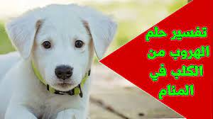 صيد السمك في المنام اشهر الاحلام برؤية اصطياد السمك. Ø­Ù„Ù… Ø§Ù„Ù‡Ø±ÙˆØ¨ Ù…Ù† Ø§Ù„ÙƒÙ„Ø¨ Ù„Ù„Ù…ØªØ²ÙˆØ¬Ø© ÙˆØ§Ù„Ø¹Ø²Ø¨Ø§Ø¡ ÙÙŠ Ø§Ù„Ù…Ù†Ø§Ù… Ø­Ù„Ù… Ù…Ø·Ø§Ø±Ø¯Ø© Ø§Ù„ÙƒÙ„Ø¨ ÙÙŠ Ø§Ù„Ù…Ù†Ø§Ù… Ø­Ù„Ù… Ø§Ù„Ù‡Ø±Ø¨ Ù…Ù† Ø§Ù„ÙƒÙ„Ø¨ Youtube