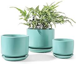 Le Tauci Indoor Planter 4 5 5 6 6 Inch Ceramic Plant Pots With Drainage Hole Round Flower Planter In 2020 Ceramic Flower Pots Ceramic Plant Pots Plastic Flower Pots