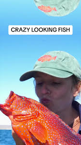 •••CORAL COD••• A new one for the Coral Trout Queen, safely released as it  looked to beautiful to eat and we weren’t really sure what it was. A very  bright and cool looking fish! . . . . . #rarefish ...