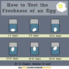 How To Test The Freshness Of An Egg