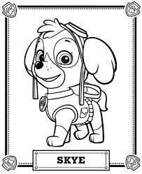Free paw patrol coloring page to print 768×1024. Skye Paw Patrol Coloring Pages Paw Patrol Coloring Paw Patrol Coloring Pages Skye Paw Patrol Party