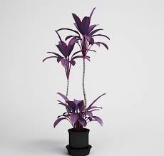 Check spelling or type a new query. Beautiful Flower With Flower Pot 3d Model Free C4d Models